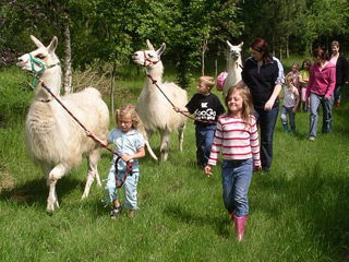 Catanger Llama Trekking