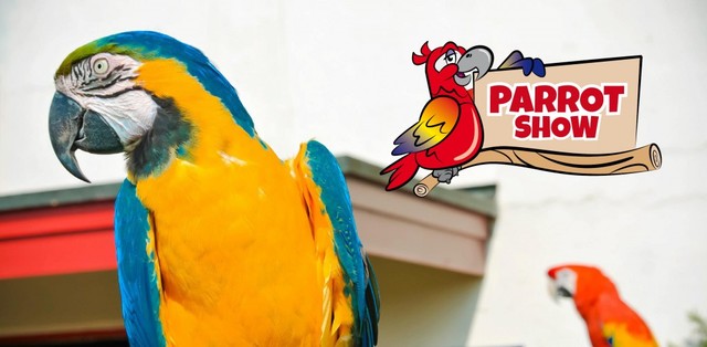 Pleasurewood Hills Family Theme Park