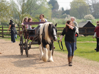 Easton Farm Park