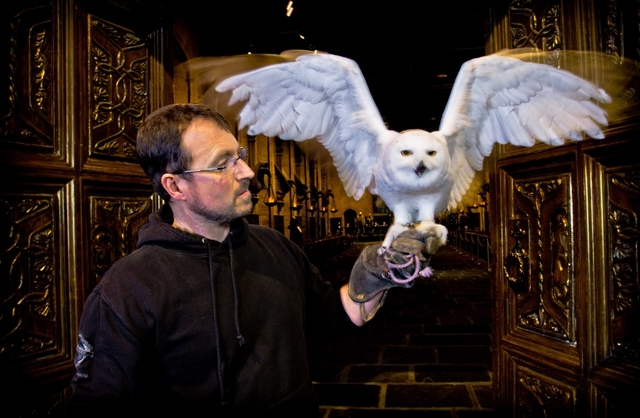 The Making of Harry Potter