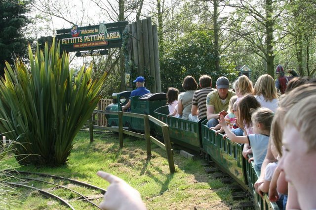 Pettitts Adventure Park