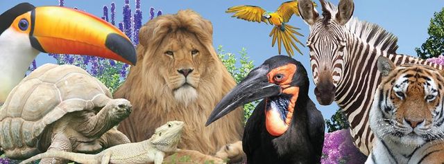Linton Zoo