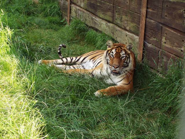 Hamerton Zoo Park