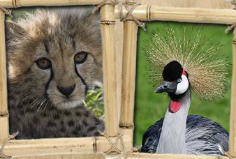 Hamerton Zoo Park