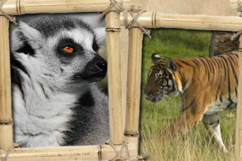 Hamerton Zoo Park