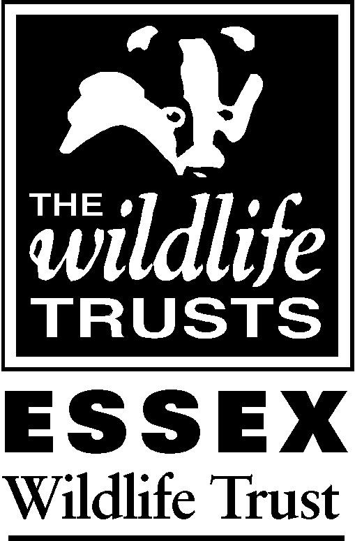 Belfairs Nature Reserve and Woodland