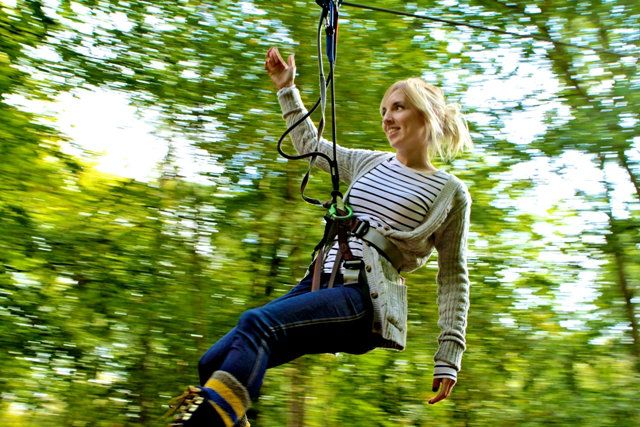 Go Ape Tree Top Adventure at Woburn Safari Park