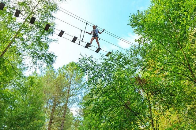 Go Ape Tree Top Adventure at Woburn Safari Park