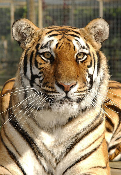 Shepreth Wildlife Park