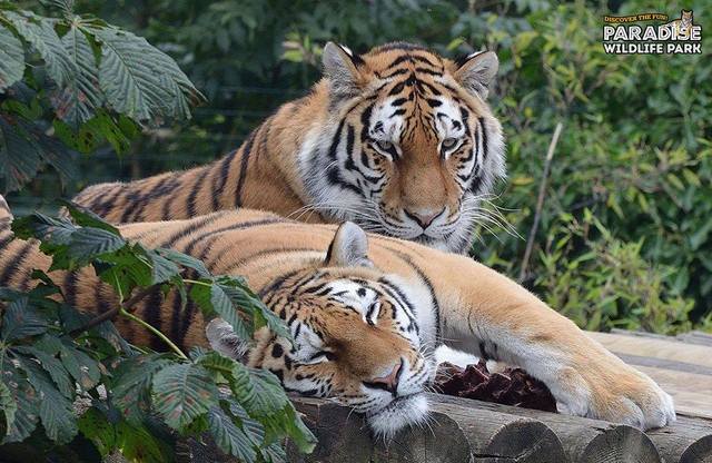 Paradise Wildlife Park