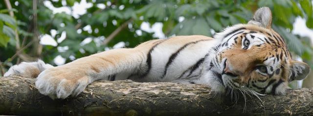 Paradise Wildlife Park