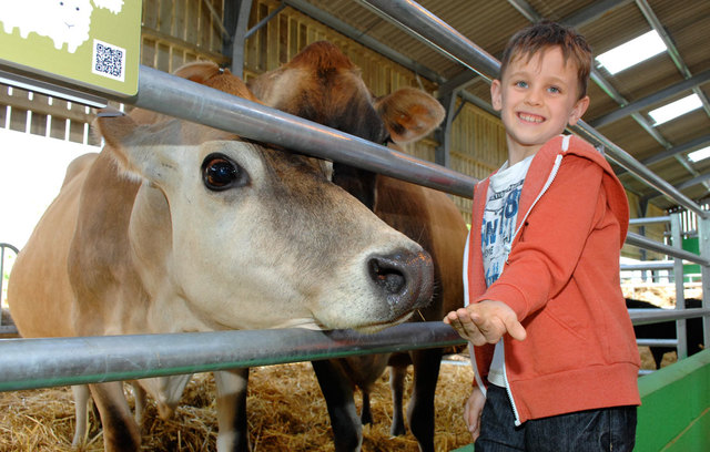 Willows Farm