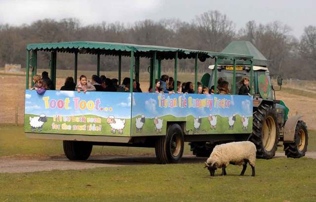 Willows Farm