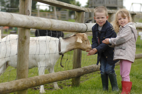 Willows Farm