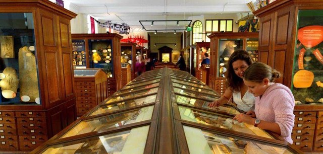 Sedgwick Museum of Earth Sciences