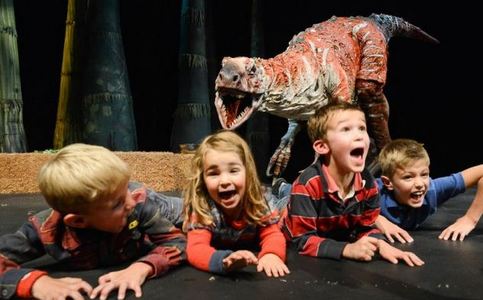 Dinosaur Zoo