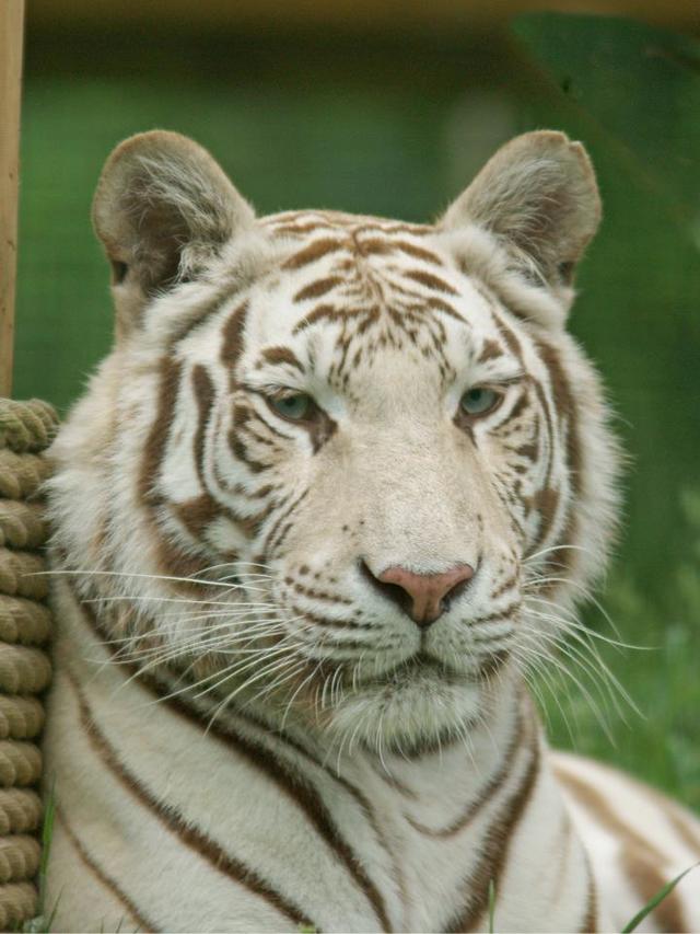 Paradise Wildlife Park