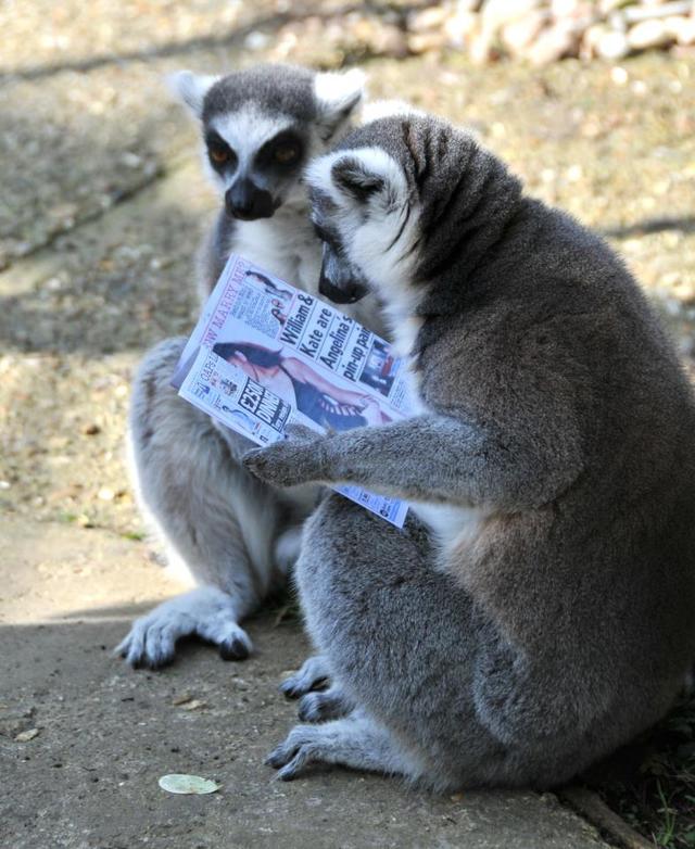 Paradise Wildlife Park