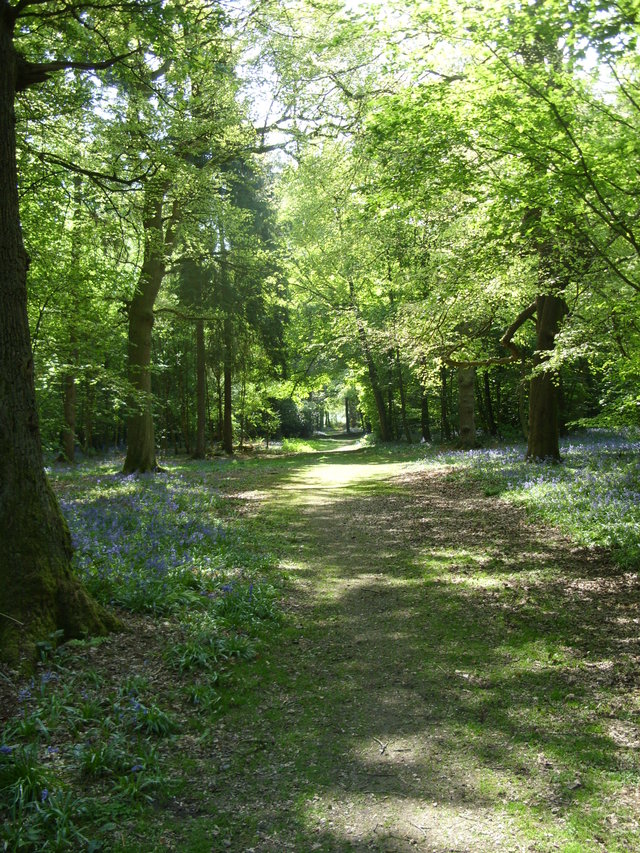 Cassiobury Park