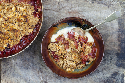 Rhubarb crumble 