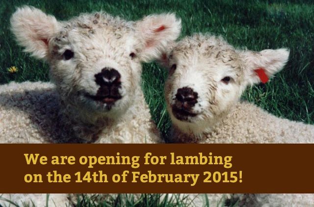 Baylham House Rare Breeds Farm