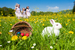 A Victorian Easter Extravaganza at Penrhyn Castle