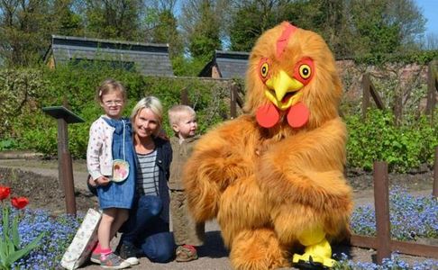 Spring Chicken! at Norton Priory