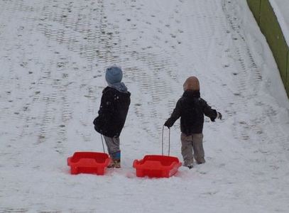 Ackers Adventure - Tobogganing!