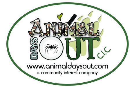 Animal Days Out Summer Holiday Clubs & Pony Days!