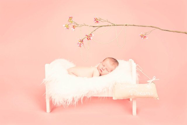 Louise Mallan Photography