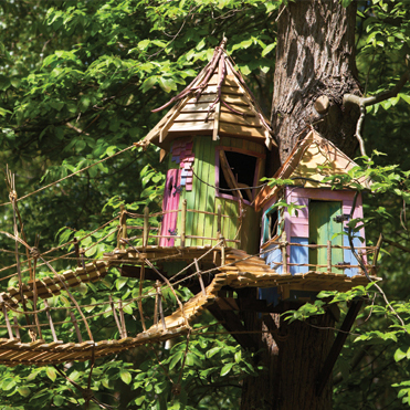 Bewilderwood