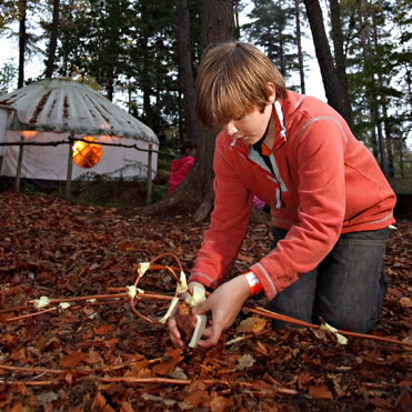Bewilderwood