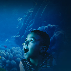 Sea Life Centre Great Yarmouth