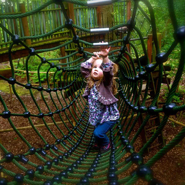 Bewilderwood