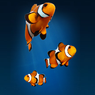 Sea Life Centre Great Yarmouth