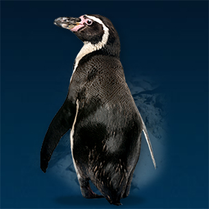 Sea Life Centre Great Yarmouth