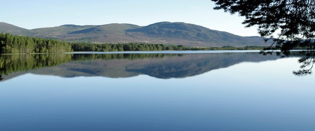 Loch Garten Osprey Centre