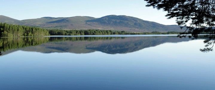 Loch Garten Osprey Centre