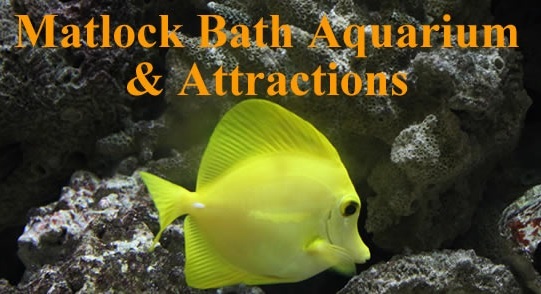 Matlock Bath Aquarium