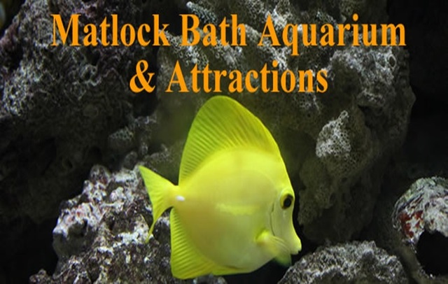 Matlock Bath Aquarium