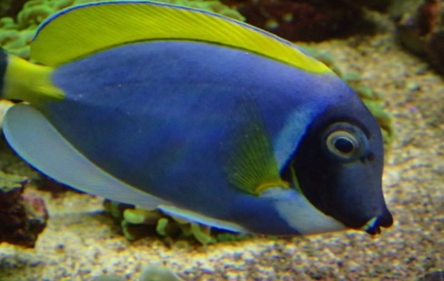 Matlock Bath Aquarium