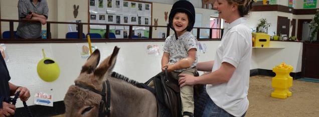 The Donkey Sanctuary 