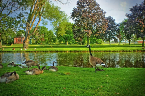 The Wythenshawe horticultural centre 