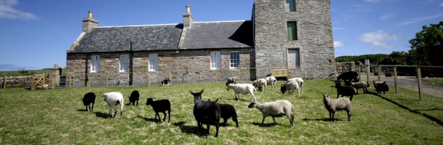 The Castle of Mey and Animal Centre
