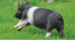 Farmer Gows Activity Farm