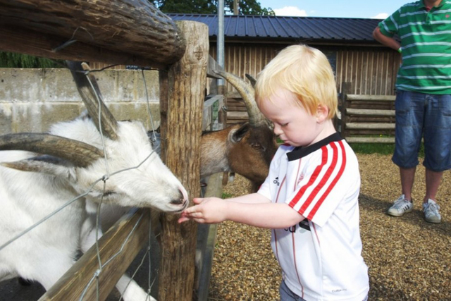 Wroxham Barns