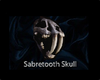 Treasures Of The Earth