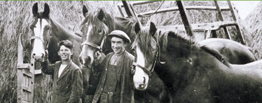 Aberdeenshire Farming Museum