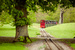 Blenheim Pleasure Gardens and Train