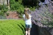 Blenheim Pleasure Gardens and Train